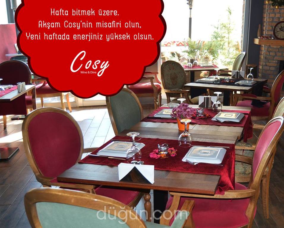 Cosy Restaurant