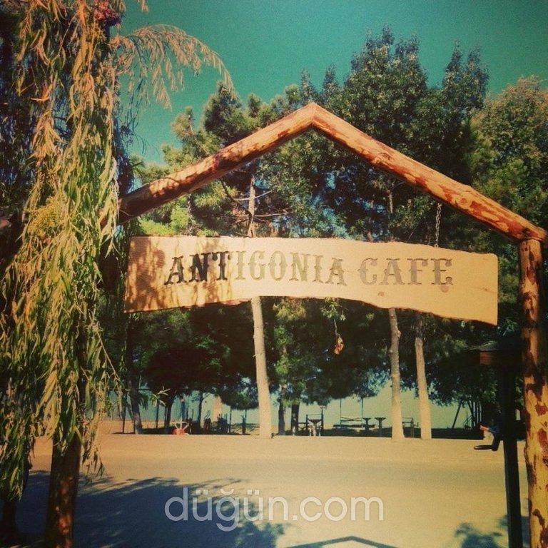 Antigonia Cafe & Restaurant