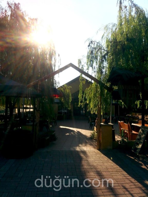 Antigonia Cafe & Restaurant