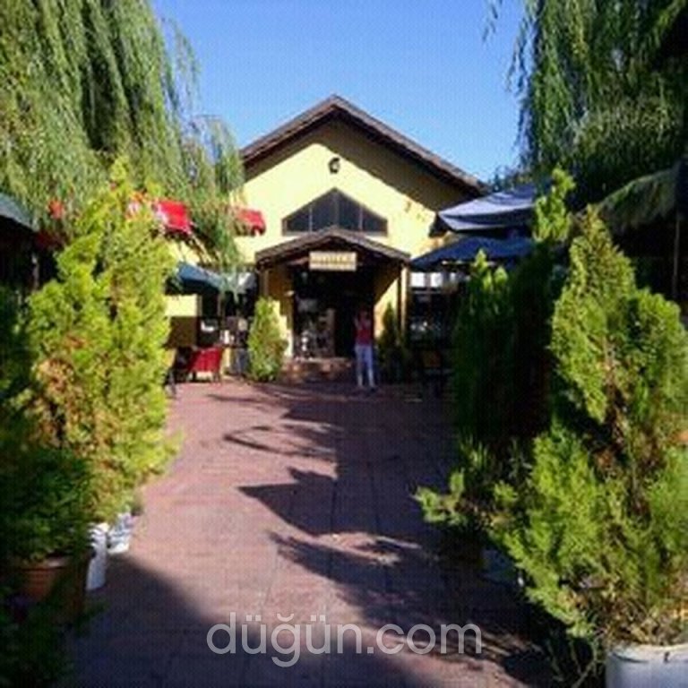 Antigonia Cafe & Restaurant