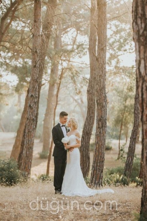 Sahra fotoğrafçılık