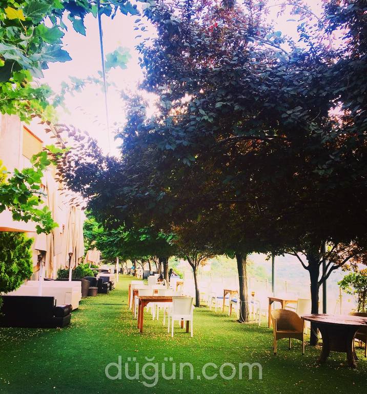 Terass Cafe & Restaurant