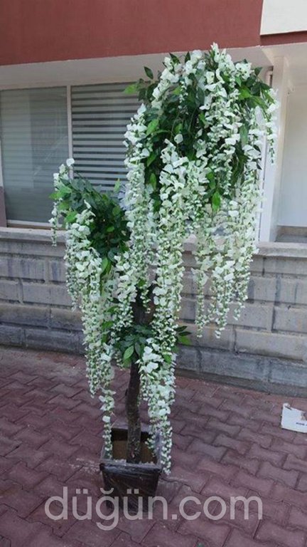 Çiçekspres Çiçekçilik