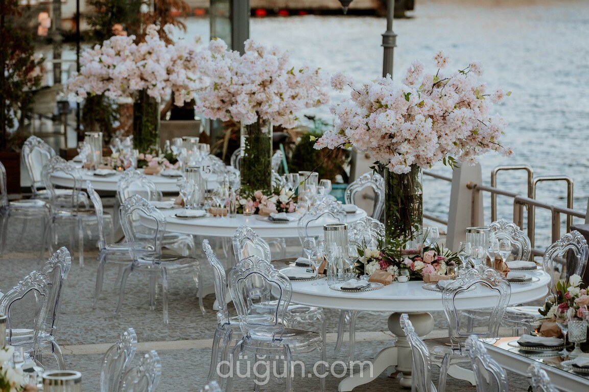 Papillon Event Desing & Flower