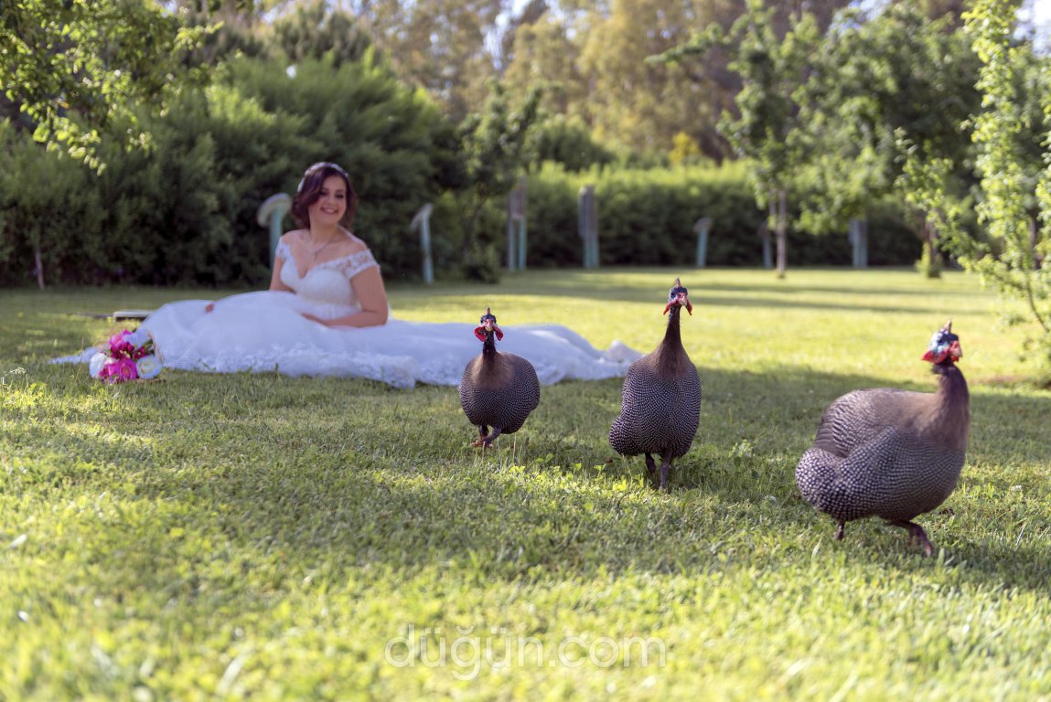 Kadraj Fotoğraf Atölyesi