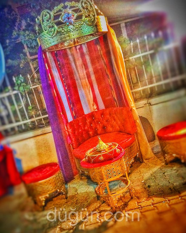 Vizyon Kına Organizasyon