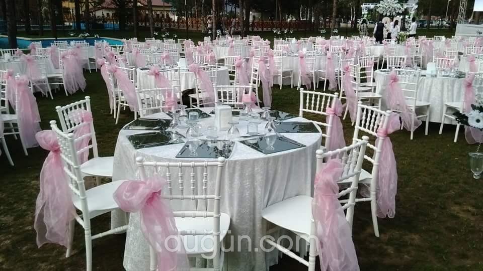 Lalezar Organizasyon