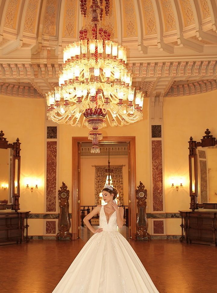 4035 Prenses Kesim Sırt Dekolteli V Yaka Gelinlik