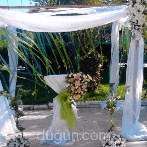 Şekercim Şekerleme Organizasyon