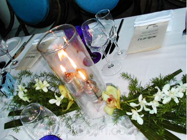 Yakamoz Organizasyon