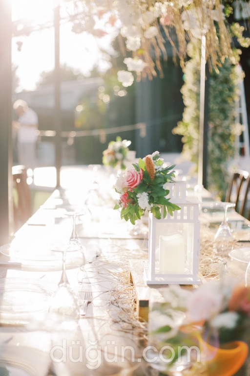 Mihenk Davet ve Organizasyon