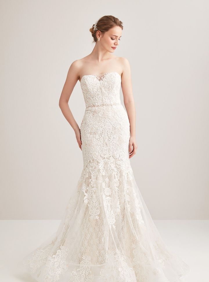 Viola Chan Premium 10 