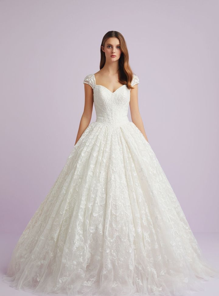 Viola Chan Premium 2 