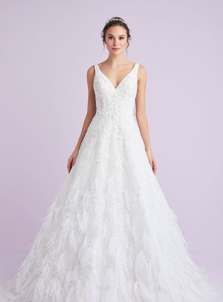 Viola Chan Premium 6 