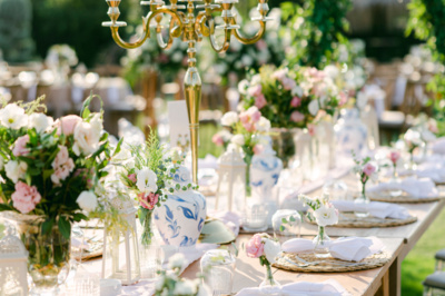 Elsa Davet Organizasyon