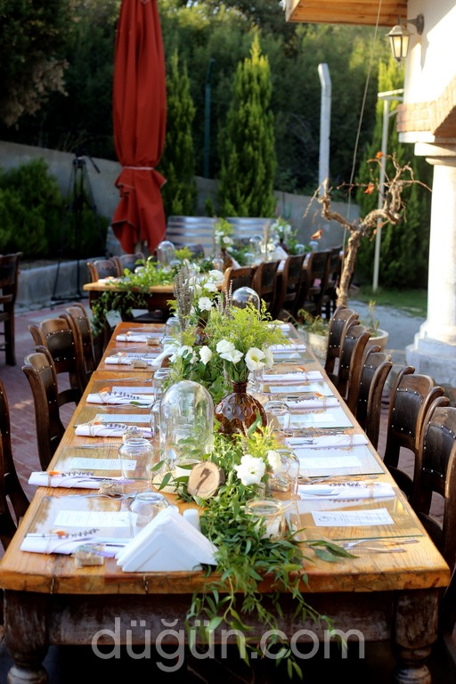 Elsa Davet Organizasyon