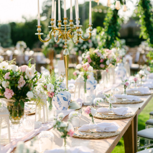 Elsa Davet Organizasyon