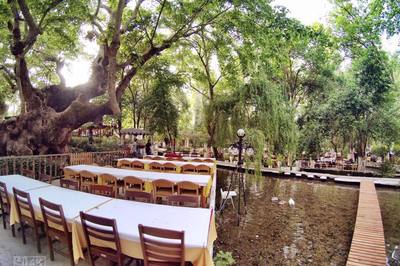 Altınoluk Pınarbaşı Restaurant