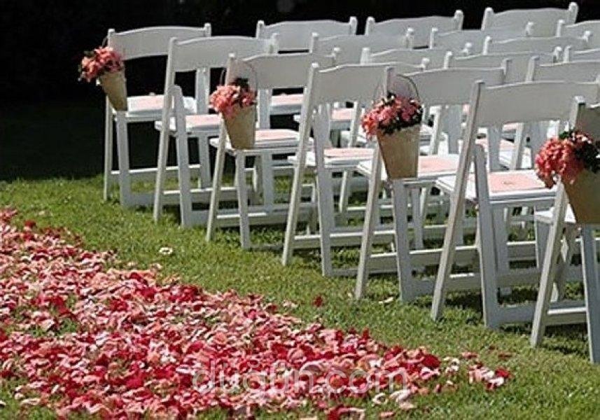 Ek Yemek & Organizasyon