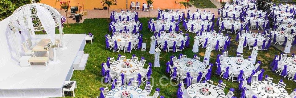 Ek Yemek & Organizasyon