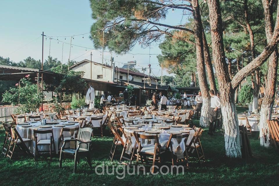 Yeşildüş Garden