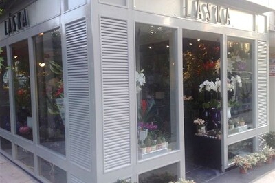 Laska Flora