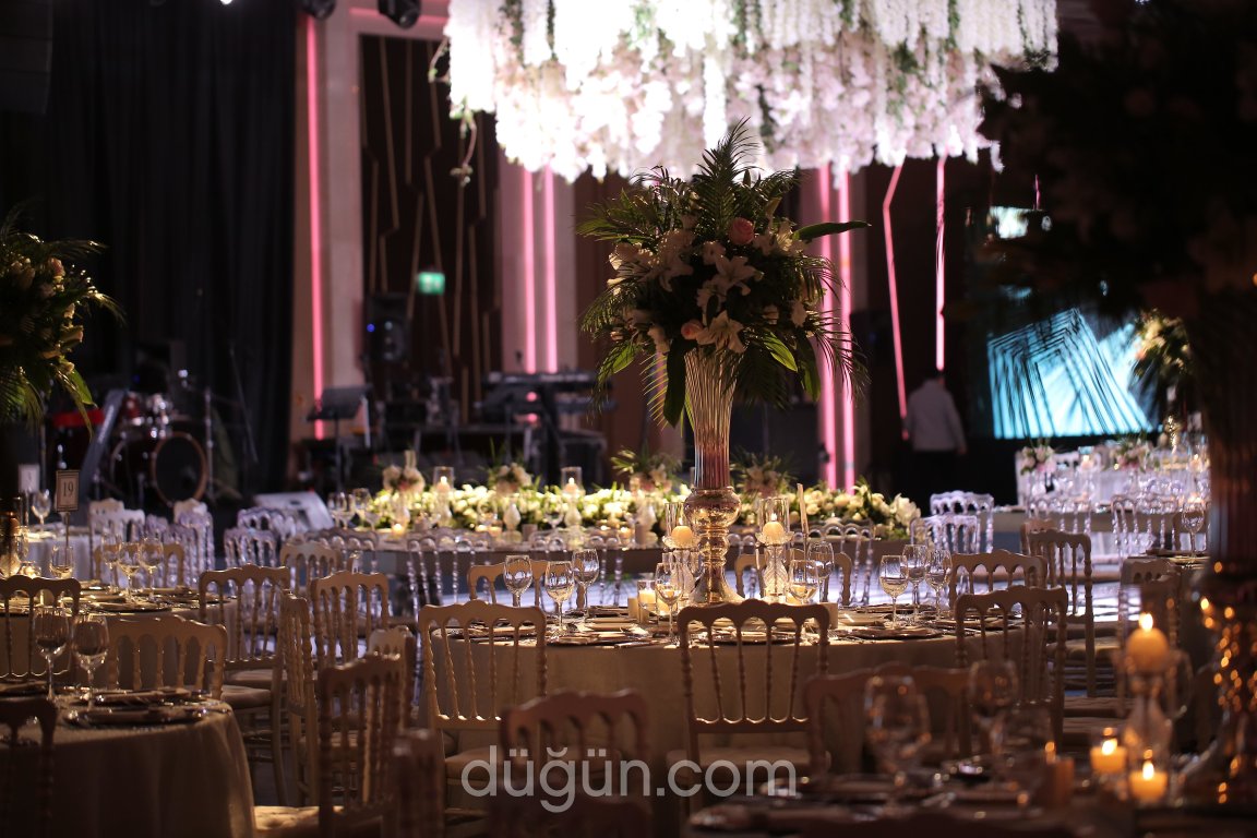 Deniz Tarhan Organizasyon