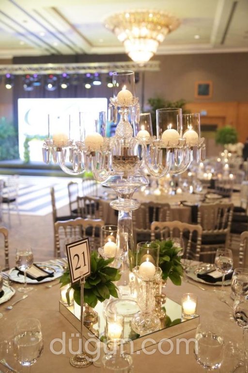 Deniz Tarhan Organizasyon