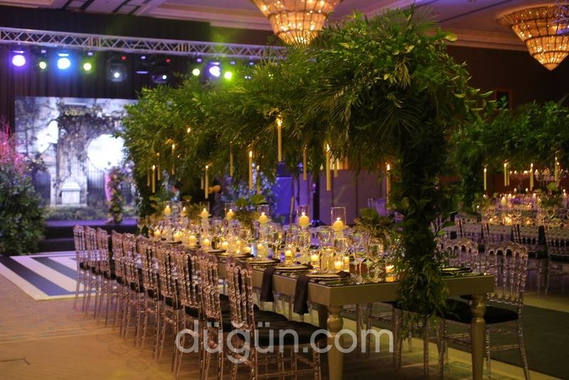 Deniz Tarhan Organizasyon