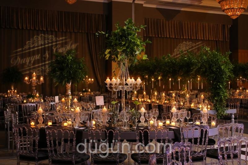 Deniz Tarhan Organizasyon