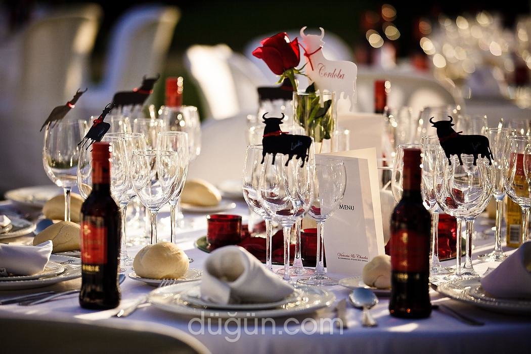 Hayaller Organizasyon