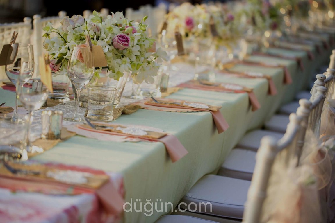 Hayaller Organizasyon