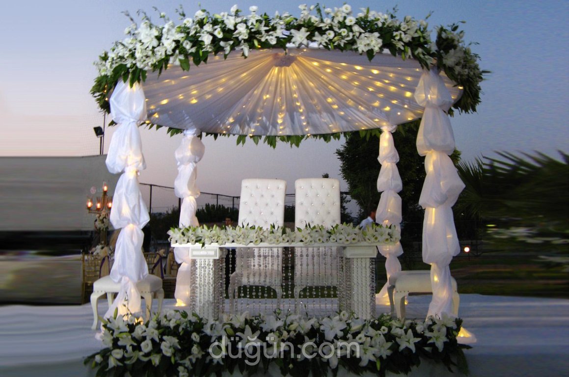 Hayaller Organizasyon