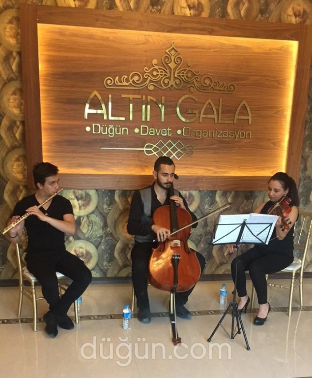 Altın Gala Düğün Davet Organizasyon