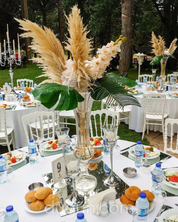 Karnaval Davet ve Organizasyon