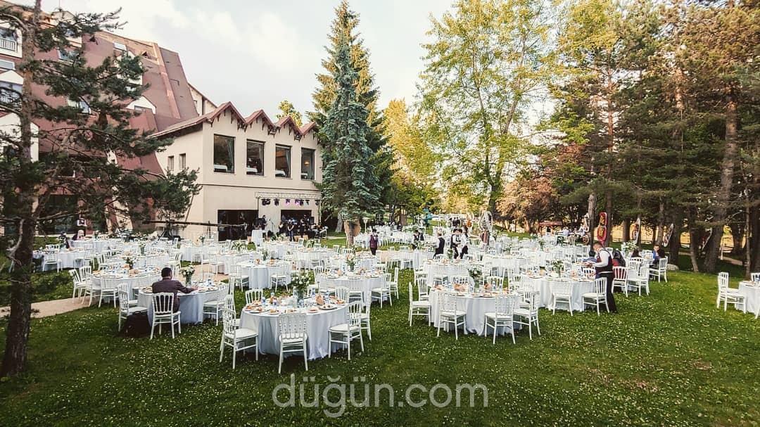 Karnaval Davet ve Organizasyon