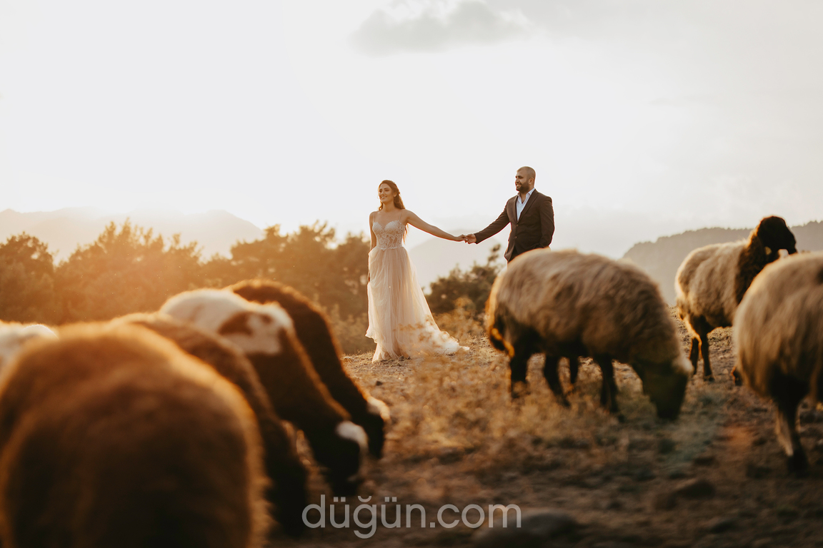 Mahsum Gültekin Fotoğrafçılık