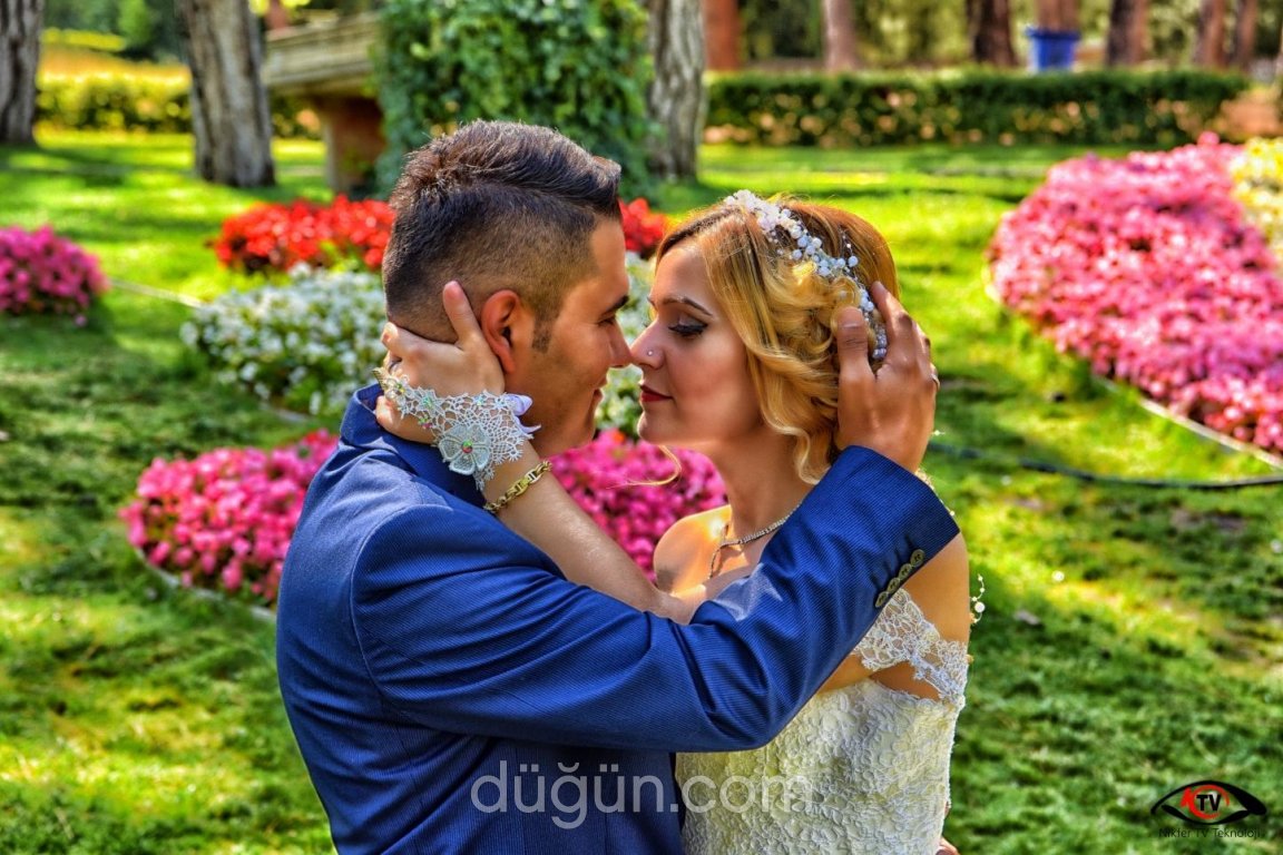 Nikfer Tv Teknolojisi