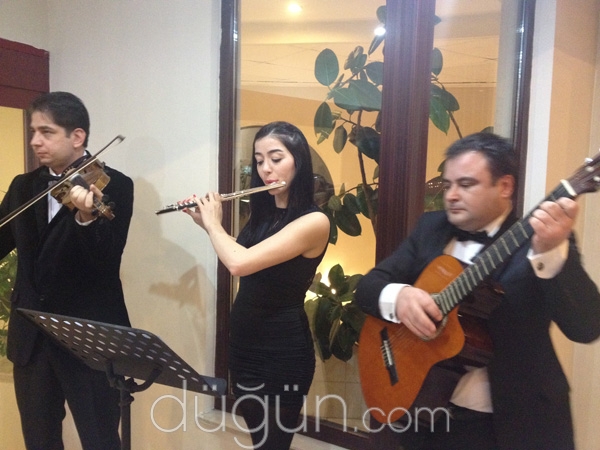 Alpan Organizasyon & Müzik