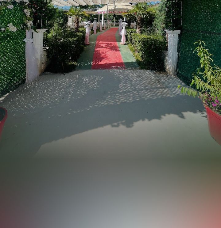 Elasya Düğün Salonu