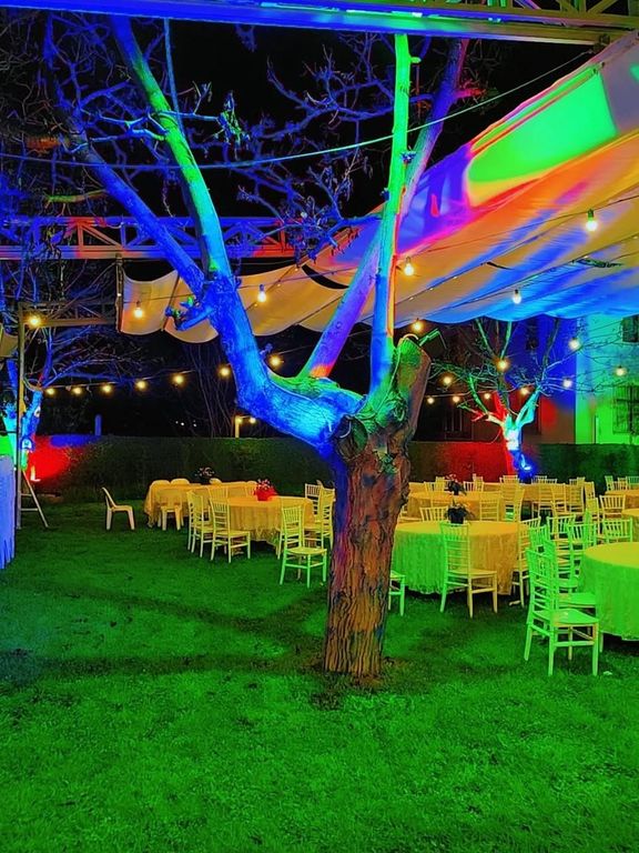 Elasya Düğün Salonu