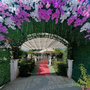 Elasya Düğün Salonu