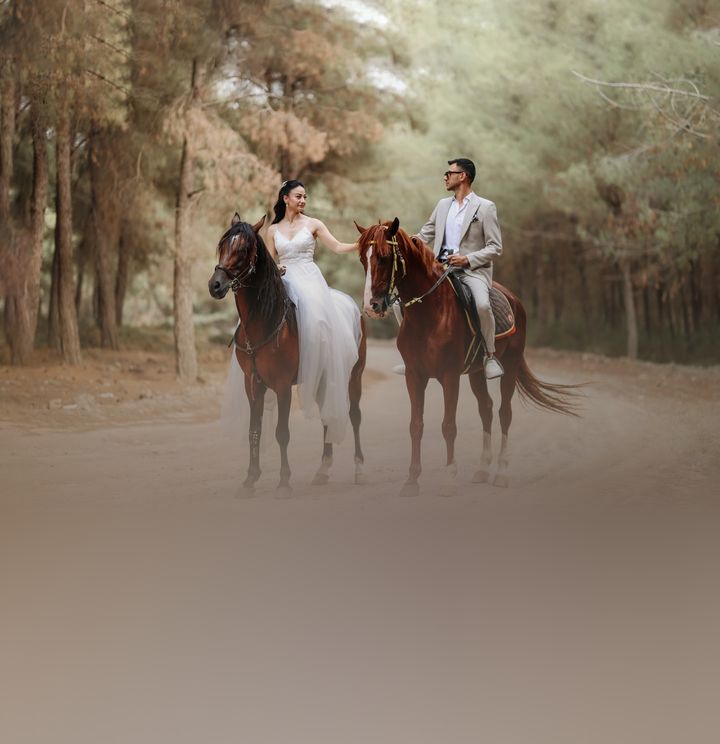 Şimşek Fotoğrafçılık
