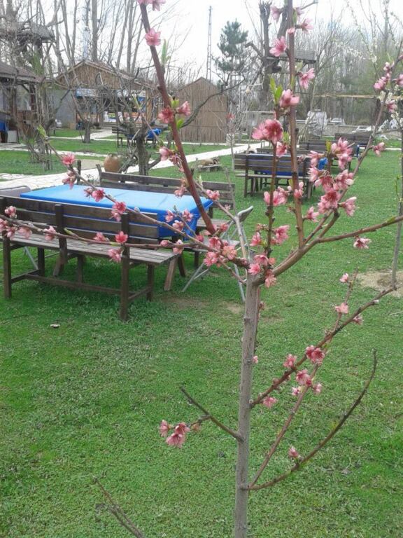 Saklıkent Alabalık Tesisi