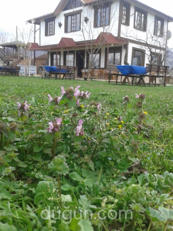 Saklıkent Alabalık Tesisi