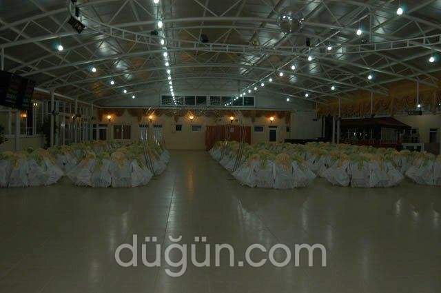 Lion King Apart Otel