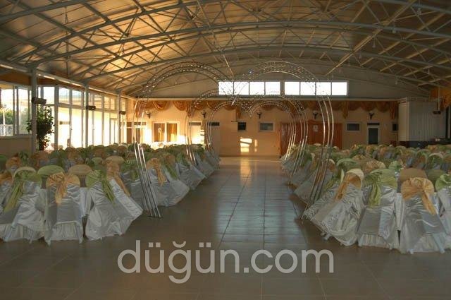 Lion King Apart Otel