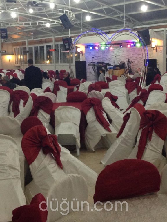 Lion King Apart Otel