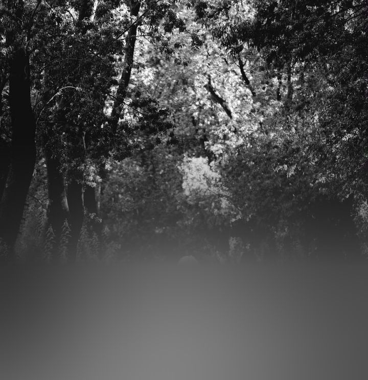 Yasin Kasımlar Photography