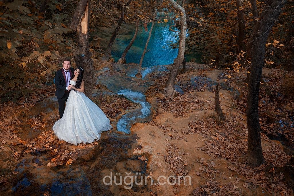 Carpe Diem Wedding Photography